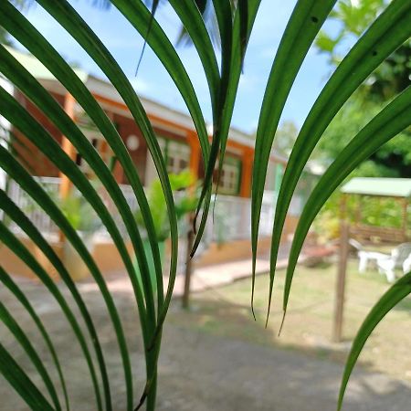 Bungalow Papaye Pointe-Noire Exterior photo