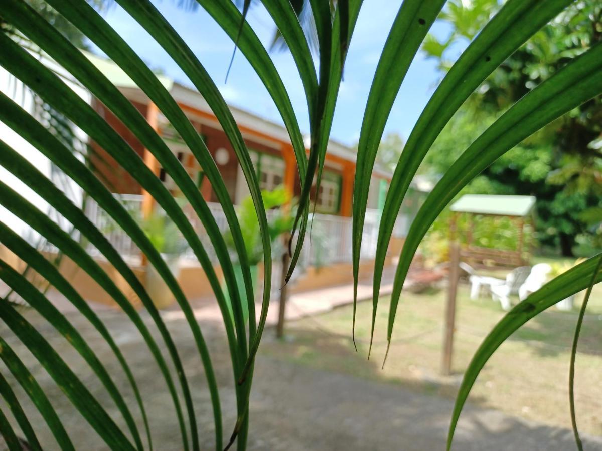 Bungalow Papaye Pointe-Noire Exterior photo